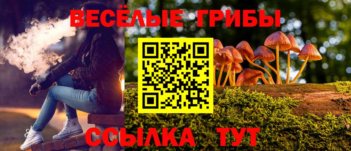 Можайск  Галлюциногенные грибы ЛСД  Вход с VPN 